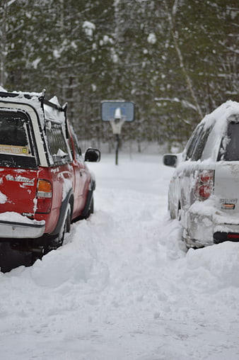 Snow-covered pickup trucks parked in a driveway with a basketball hoop