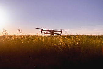 Drone Flying Over Golden Wheat Field at Sunset