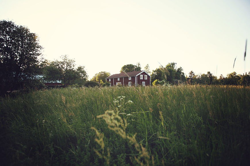 Red Farmhouse in Grassy Summer Field