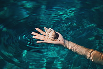 Hand holding seashell in clear turquoise water