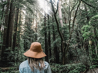 Woman in Brown Hat Looking at Redwood Forest