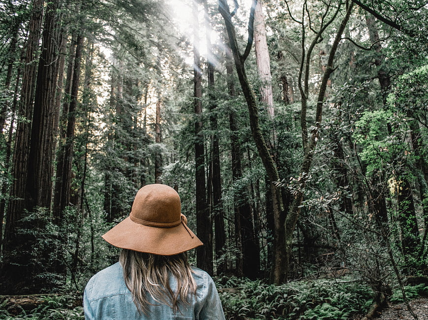 Woman in Brown Hat Looking at Redwood Forest