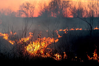 Dramatic Wildfire Burning Through Dry Grassland With Thick Smoke