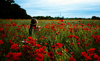 Woman standing in a vibrant red poppy field