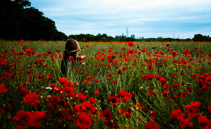 Woman standing in a vibrant red poppy field