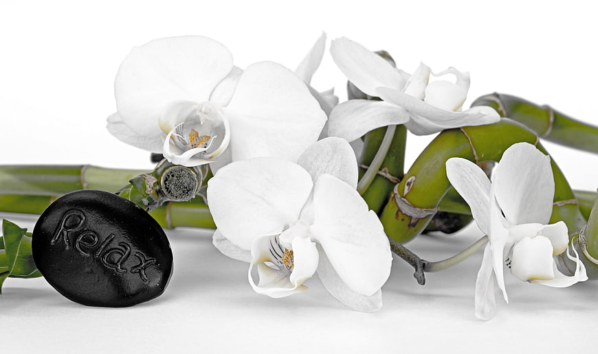 White Orchids and Bamboo with Relax Stone on White Background