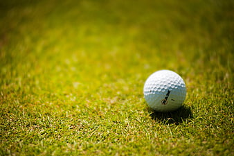 Close-up of a white golf ball on green grass