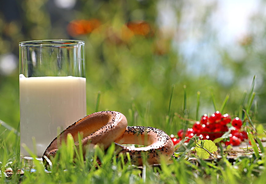 Glass of milk and bagel with red currants on green grass