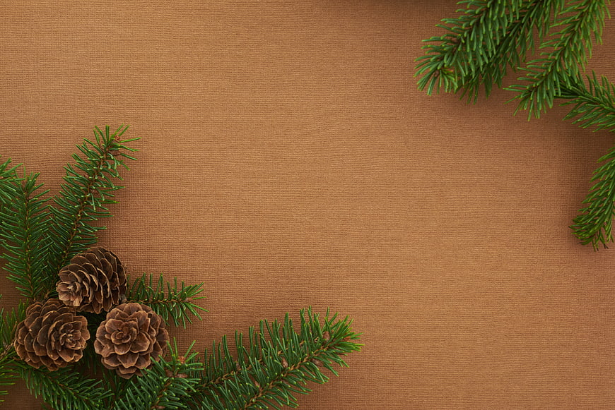 Christmas Pine Branches and Cones on Brown Background