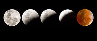 Lunar Eclipse Phases Sequence Against Black Night Sky