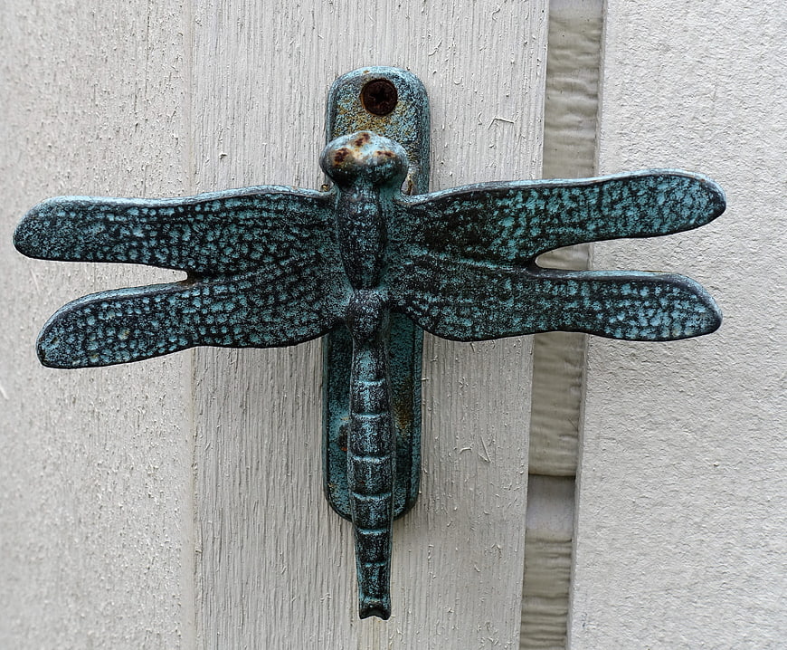 Vintage Patina Dragonfly Door Knocker on Wooden Door