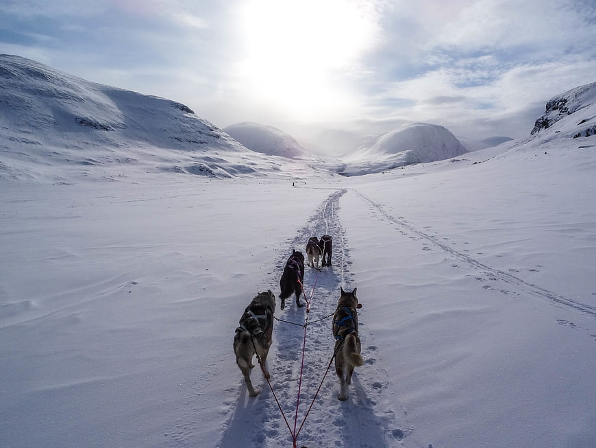 Husky Dog Sled Team Trekking Through Snowy Mountain Valley