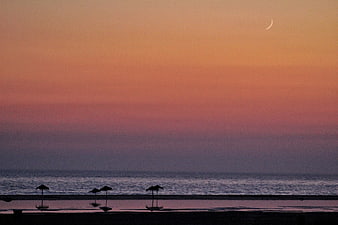 Silhouetted beach umbrellas at sunset with crescent moon