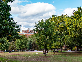 People Relaxing in Urban Park with Trees and City Buildings