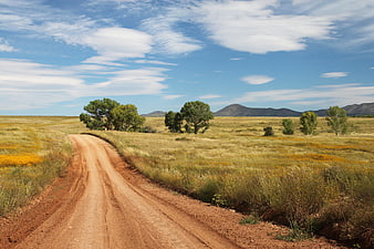 Red Dirt Road Winding Through Golden Grassland to Mountains