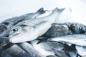 Fresh raw fish on ice at seafood market