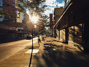 Sunlit Brooklyn Street with Long Shadows and City Buildings