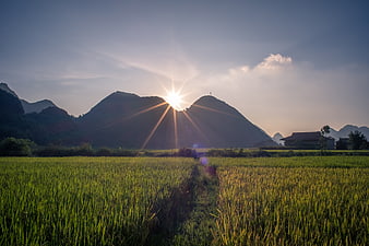 Sunset Over Rice Fields And Mountains In Sapa, Vietnam
