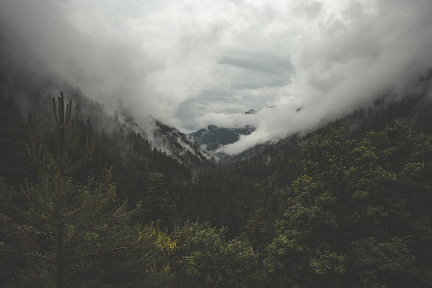 Misty Mountain Valley with Dense Forest and Clouds
