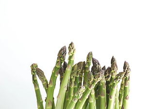 Fresh Green Asparagus Spears on White Background
