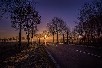 Sunset on a rural road with bare trees and purple sky
