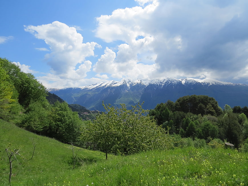 Scenic Alpine Landscape with Snow-Capped Mountains and Green Meadow