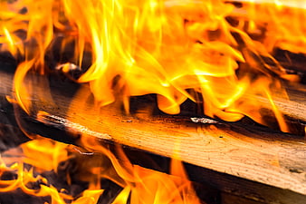 Close-up of burning wood logs with bright orange flames
