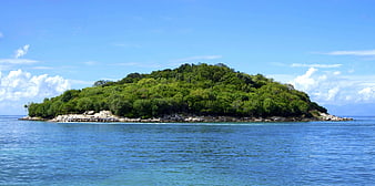 Lush Green Tropical Island in Blue Ocean
