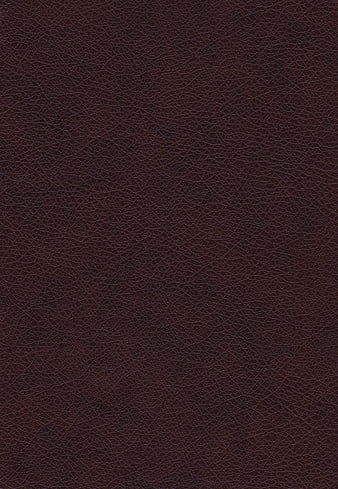 Dark Brown Leather Texture Background
