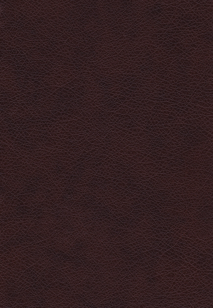 Dark Brown Leather Texture Background