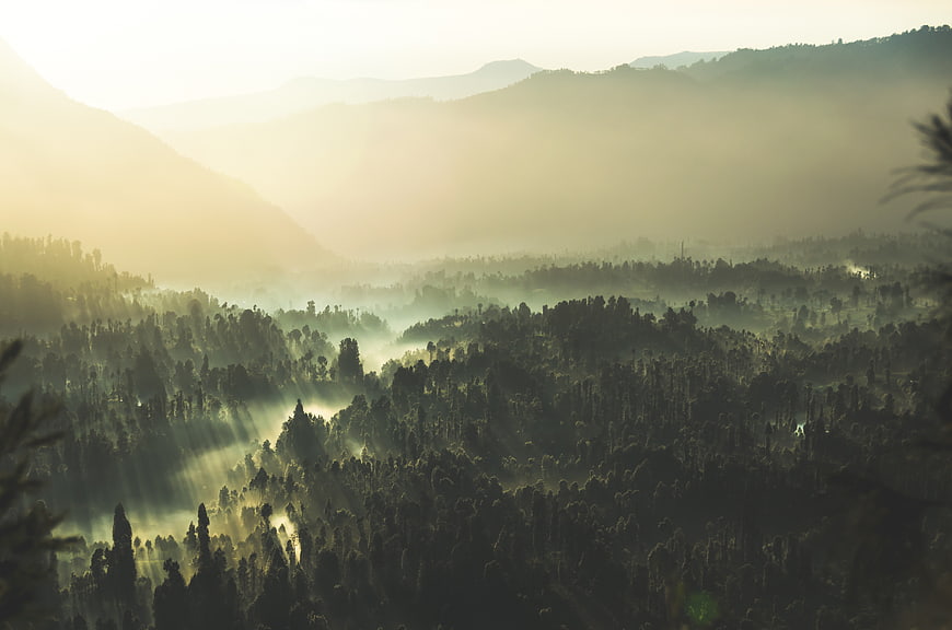 Misty Mountain Forest Landscape with Sunbeams