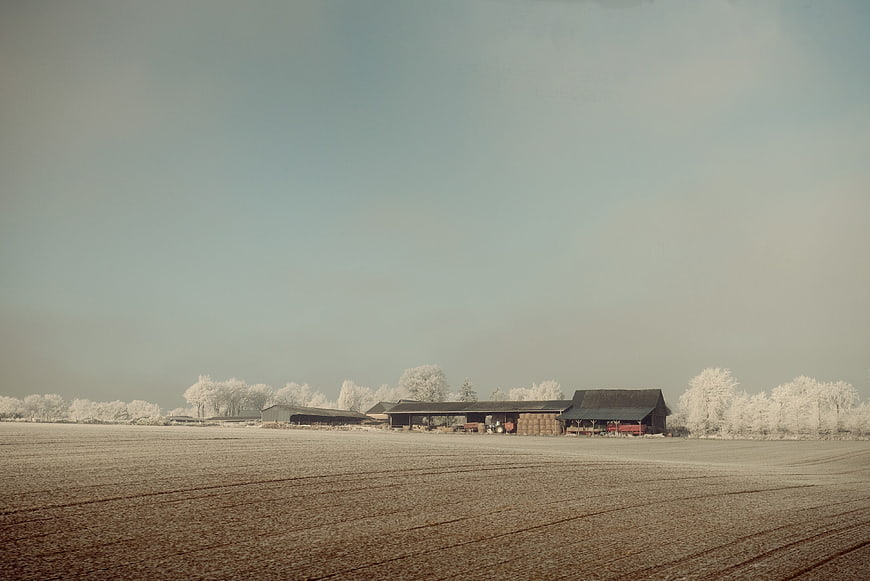 Infrared Landscape of Farm Barns and Frosty Trees
