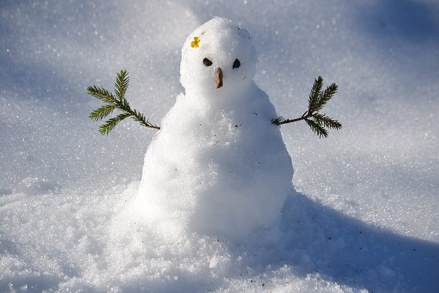 Cute Miniature Snowman With Pine Branch Arms In Winter Snow