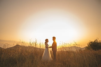 Wedding Couple Silhouette in Golden Sunset Field