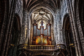 Gothic Cathedral Interior Featuring Historic Pipe Organ and Stone Architecture