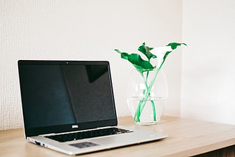 Minimalist Workspace with Laptop and White Calla Lily