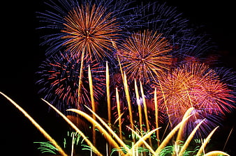 Vibrant multi-colored fireworks exploding against a black night sky
