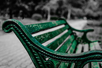 Green Park Bench with Selective Color and Blurred Background