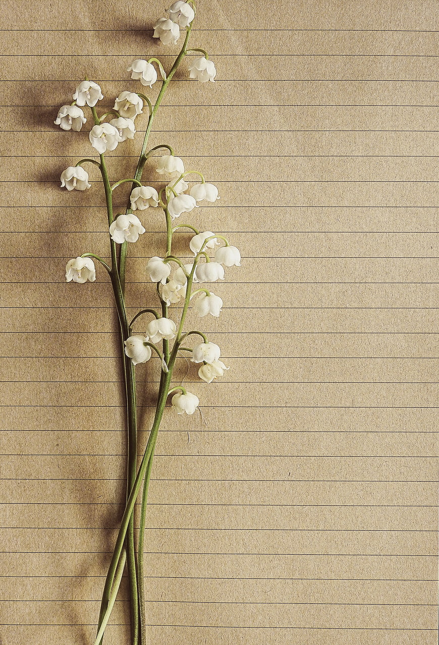 Lily of the Valley Flowers on Vintage Lined Paper Background