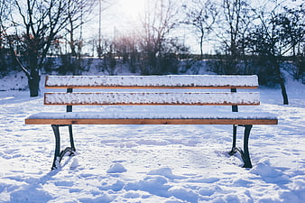 Snow-covered wooden park bench in winter sunlight