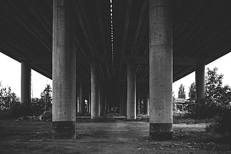 Black and white perspective of concrete pillars under a bridge