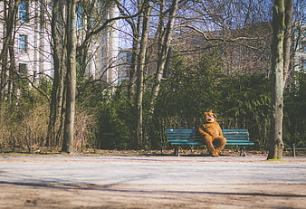 Lonely Bear Mascot Sitting on Park Bench