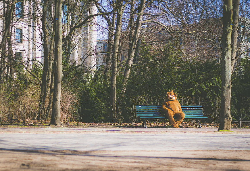 Lonely Bear Mascot Sitting on Park Bench