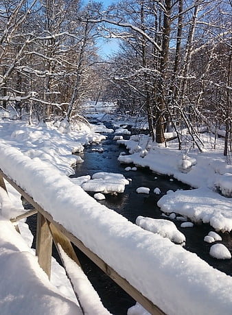 Snowy wooden bridge over a winter stream in a forest