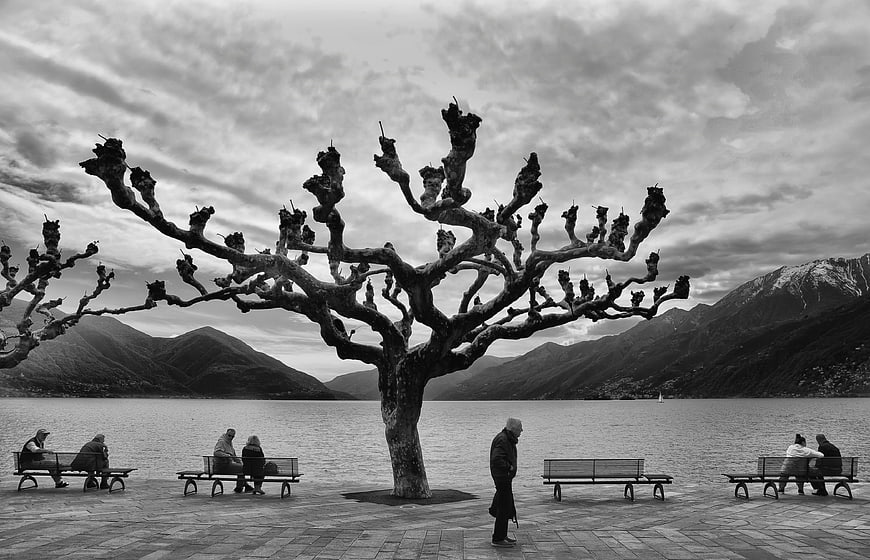 Black and white panorama of The Needle tree in Queenstown