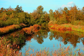 Autumn Landscape With Calm Pond Reflection And Colorful Trees