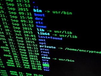 Close-up of Linux terminal directory listing on computer screen