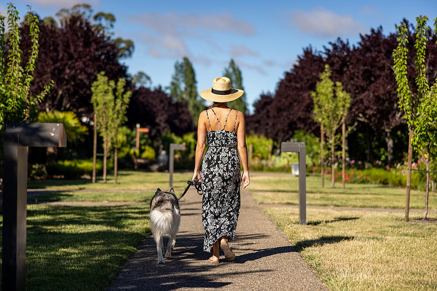 Woman Walking Husky Dog in Park