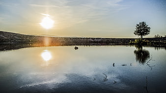 Serene Lake Sunset with Solitary Tree Reflection