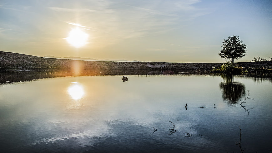 Serene Lake Sunset with Solitary Tree Reflection